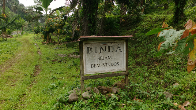 Binda1